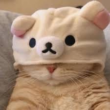 น้องบี มีโชค avatar